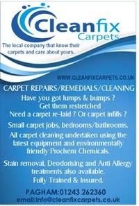Cleanfix Carpets 351850 Image 1